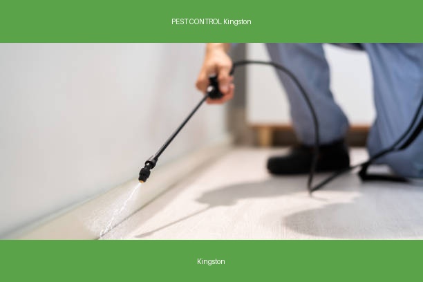 PEST CONTROL Kingston